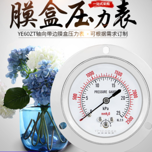 YE60ZT轴向带边面板式微压表过压保护型燃气管道测压膜盒压力表